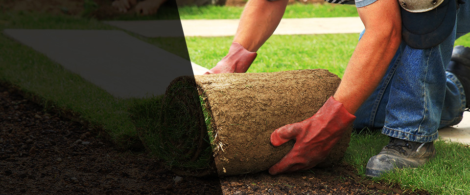Hanley Falls Landscapers